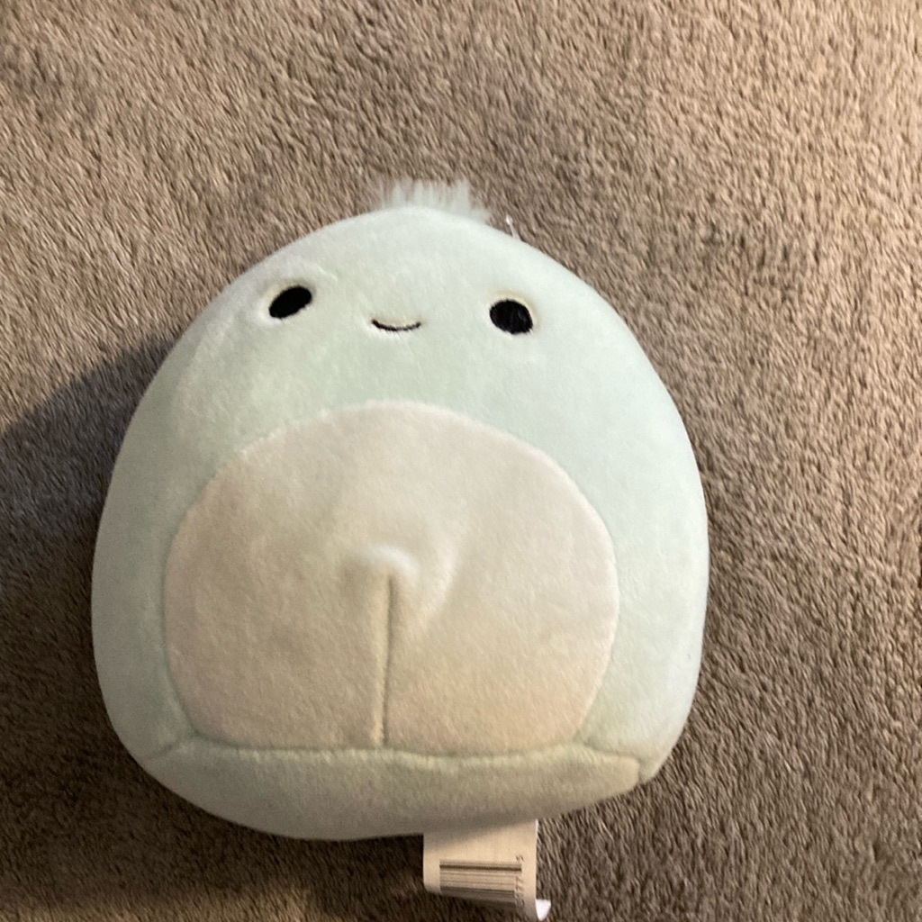 Squishmallows Turtle